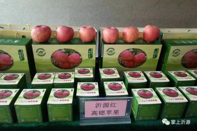 沂源红苹果